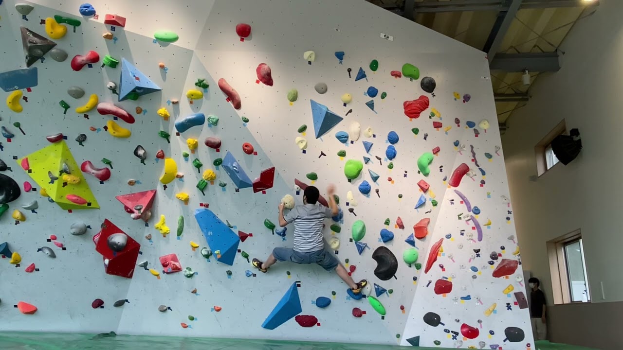 ミニミニホールド 30個 青 クライミング ボルダリング用ホールド 直販