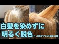 【346】白髪を染めずに「黒髪を明るく脱色」【グレイヘア対策】1ヶ月前のグラボブが「全く崩れていないので」ヘアカラーのみ【1ヶ月前のヘアカット動画 346】