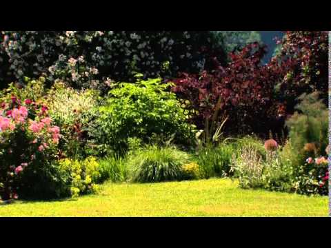 mit-pflanzen-malen-wie-claude-monet,-22.-juni-2014