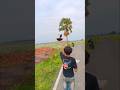 Bus vala kis ko bula rha hai 👀😂🕊️ #pigeon #publicreaction #reaction #reactionvideo #shorts #runts
