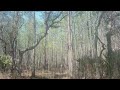 Rising - Ambient Tone for Deep Focus, Relaxation, and Grounding