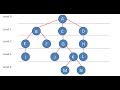 22- شرح مفهوم الـ Tree Data Structure ومصطلحاتها بشكل مبسط