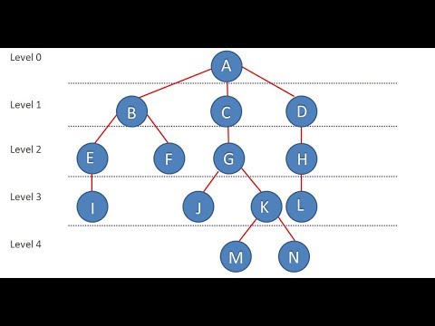 فيديو: ما هو هيكل بيانات شجرة B؟