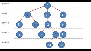 22- شرح مفهوم الـ Tree Data Structure ومصطلحاتها بشكل مبسط