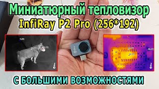 The smallest thermal imager for a smartphone InfiRay P2 Pro. The best thermal imager for the home.
