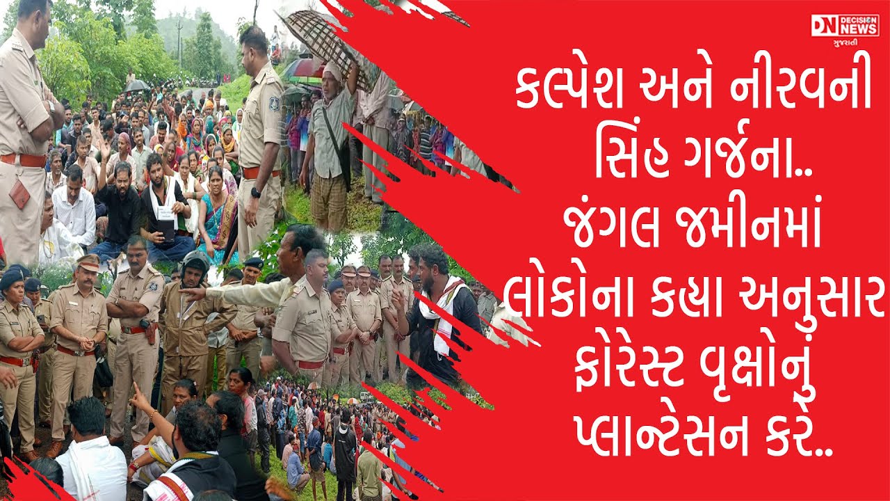 ધરમપુરમાં જંગલ જમીનમાં પ્લાન્ટેસન કરવા ફોરેસ્ટ ઝૂક્યું.. લોક માંગણી પ્રમાણે થશે વૃક્ષોનું પ્લાન્ટેસન