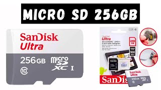Carto Memoria Micro Sd 256gb Sandisk