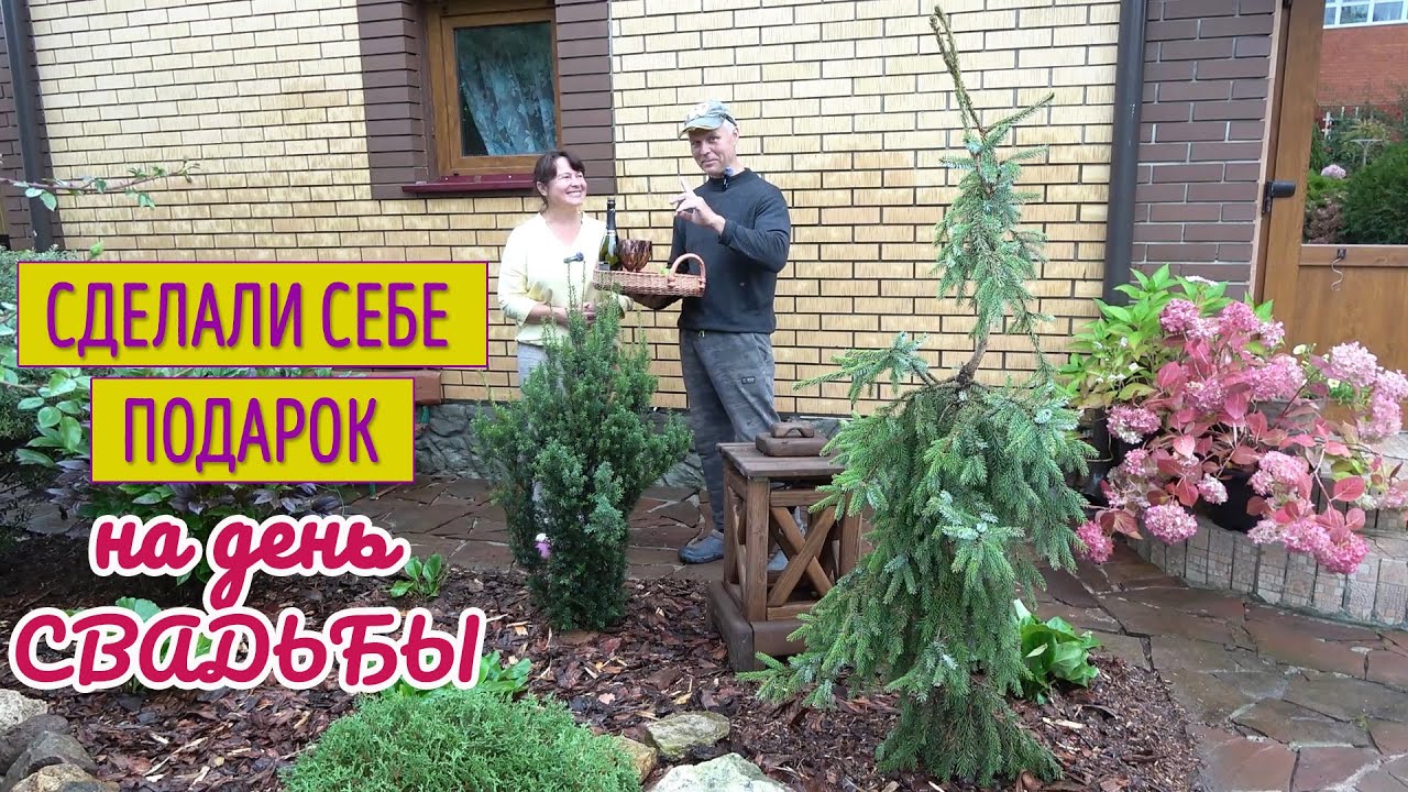 ПЕРЕДЕЛКА ЦВЕТНИКА через 12 лет! Новые растения и современный дизайн. Хосты и лапчатку - НА ВЫХОД!