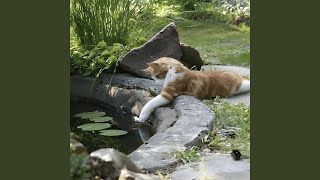 Do You Really Wanna Kill Me