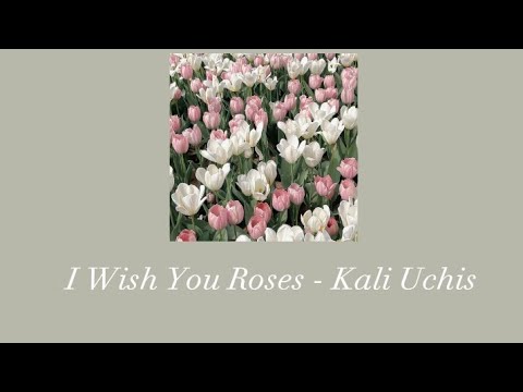 [Lyrics + Vietsub] I Wish you Roses - Kali Uchis - YouTube