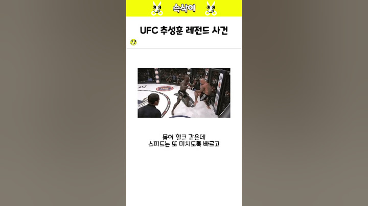 UFC 추성훈 레전드 사건