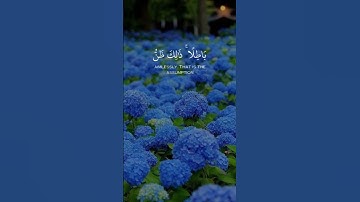 تلاوة جميلة وهادئة بصوت #القارئ #اسلام_صبحي 🦋