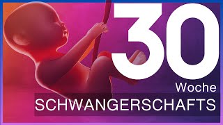 30.Schwangerschaftswoche: Was du jetzt über dein Baby wissen solltest | Update 30 SSW – SSW30 screenshot 5