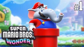 Vdeo Super Mario Bros. Wonder