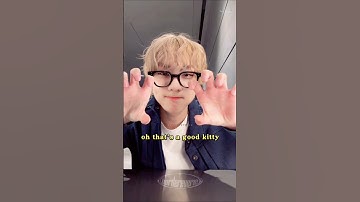 Jungwon good kitty 🤏 ft. JakeHoon hands squishing him 🤣 #enhypen #jungwon baby cat agenda #kpop 양정원