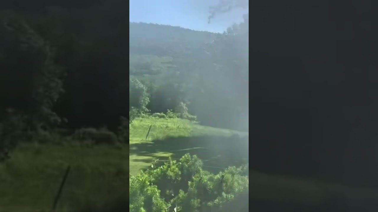 Dreamer Clutch with Blaze Solo and Energy Drink (Lemon Lime) DIY inside.