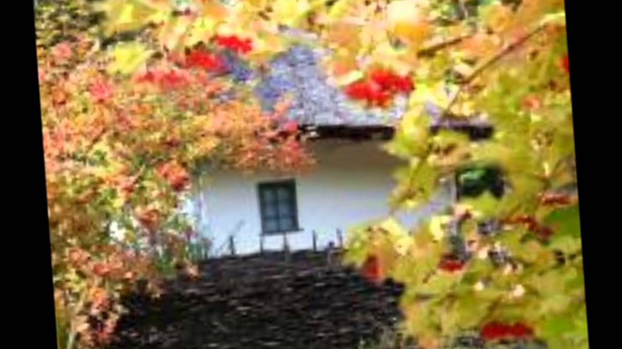 картинки калина фото