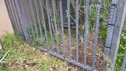 Installing Chicken Wire Fence