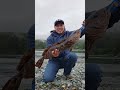 Lingcod #trendingshorts #fish #fishing #fishingreels #fishingshorts #catchandrelease #fish #viral