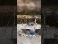 CREEK FISHING - WHAT A CATFISH!! 🎣😱 LOOK at that GROWN ONE!! #catfish #bluecatfish #stmarysrive...