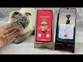 Cat IOS vs ANDROID | Cat vs Samsung Galaxy S10e | A50 | Incoming + Outgoing Call