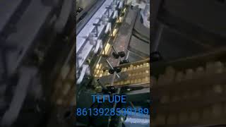 wafer stick egg rolls automatic packing machine