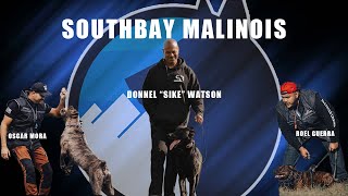 Episode 16 | Dog Talk with Southbay Malinois by Oscar Mora K9s 3,444 views 1 year ago 50 minutes