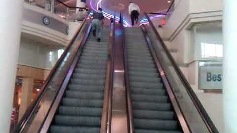 escalator race goes wrong