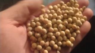 Soybean Conditioning