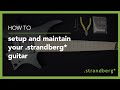 .strandberg* Setup & Maintenance - How to setup and maintain your .strandberg* guitar