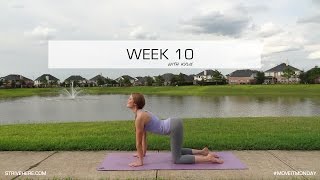 Cat & Cow Pose - Week 10 