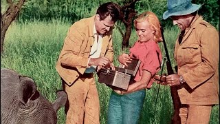 Official Trailer RHINO! (1964, Robert Culp, Shirley Eaton, Harry Guardino) Net Worth