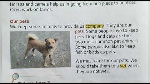 Class-1st / Social Science Chapter- 8 ( Animals Around Us - Book Reading )