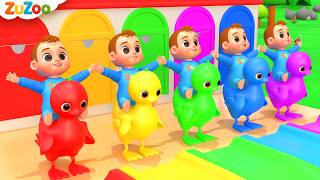 5 Little Ducks(Learning Colors Song) | ZuZoo Nursery Rhymes & Kids Songs