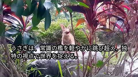 うさぎの哲学的ショート動画 #自動生成実験 #生成AI #AI副業