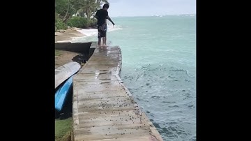 Throw net Hawaii!! Ahole’hole