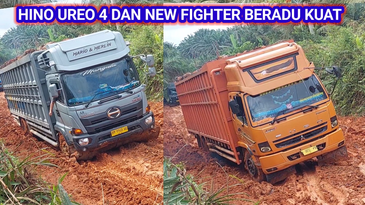 HINO UERO 4 DAN NEW FIGHTER BERADU KUAT DITANJAKAN BUKIT LANGIT YANG SANGAT LICIN