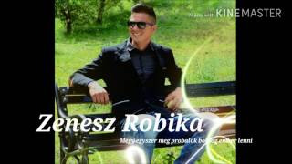 Video thumbnail of "Zenesz Robika megegyszer meg probalok boldog ember lenni. 2016"