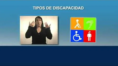 ¿Cuáles son los 4 tipos de discapacidad?