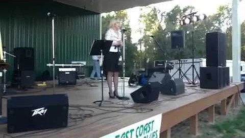 Debra Goldman candidate for State Auditor 2012 Fra...