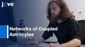 Analyzing Size, Shape & Directionality: Networks of Coupled Astrocytes