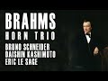 Brahms  trio for horn violin  piano  bruno schneider  daishin kashimoto  eric le sage