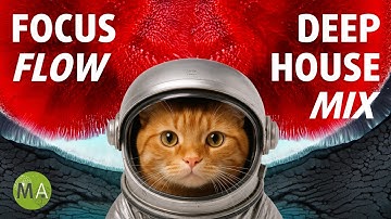 Focus Flow Deep House Mix with Beta Wave Isochronic Tones
