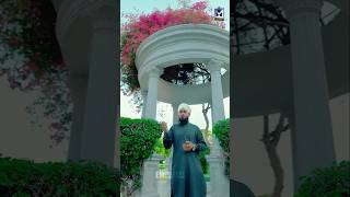 Status 02 - Pyare Aaqa #youtubeshorts #shorts #viral #trending #newnaat #emcs