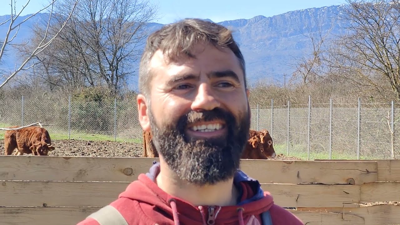 Ελληνικά ποιμενικα στο στάβλο! Κτηνοτρόφος για όλα! #dog #puppy 