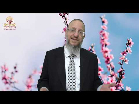 דיני ברכת האילנות - הרב ירון אשכנזי