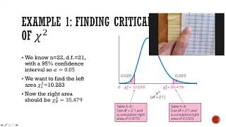 Celebrity Stat 2070 Chapter 7 section 4 Wealth