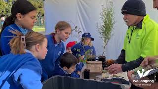 Building a Tiny Forest in Tarrawanna