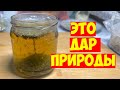 ПЬЮ И ОЖИВАЮ! БЛЯШЕК И ТРОМБОВ НЕТ! ЗРЕНИЕ КАК В 17! ЯСНЫЙ УМ! КРЕПКИЙ ИММУНИТЕТ! Снизит  сахар