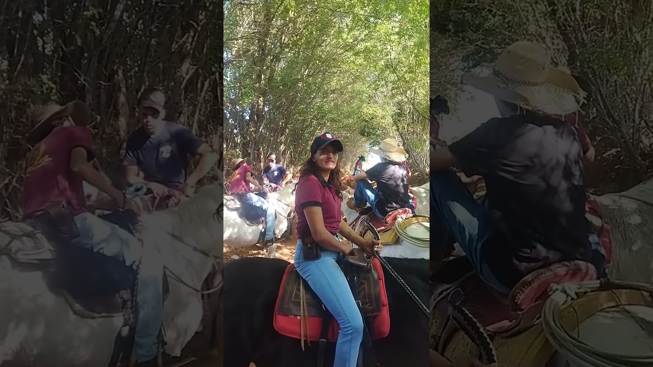 CAVALGADA DOS BRUTOS FT! CHAMA NA ESPORA